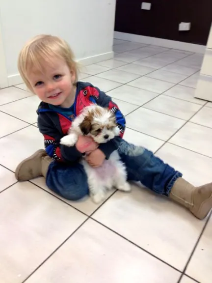 Ryan cuddling a puppy