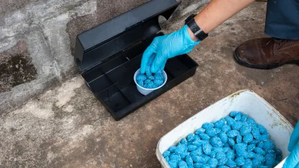 blue rat poison being placed into a contained box