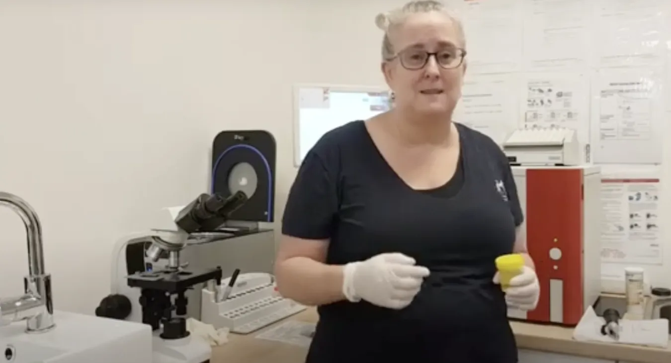 Mel testing a urine sample in the lab