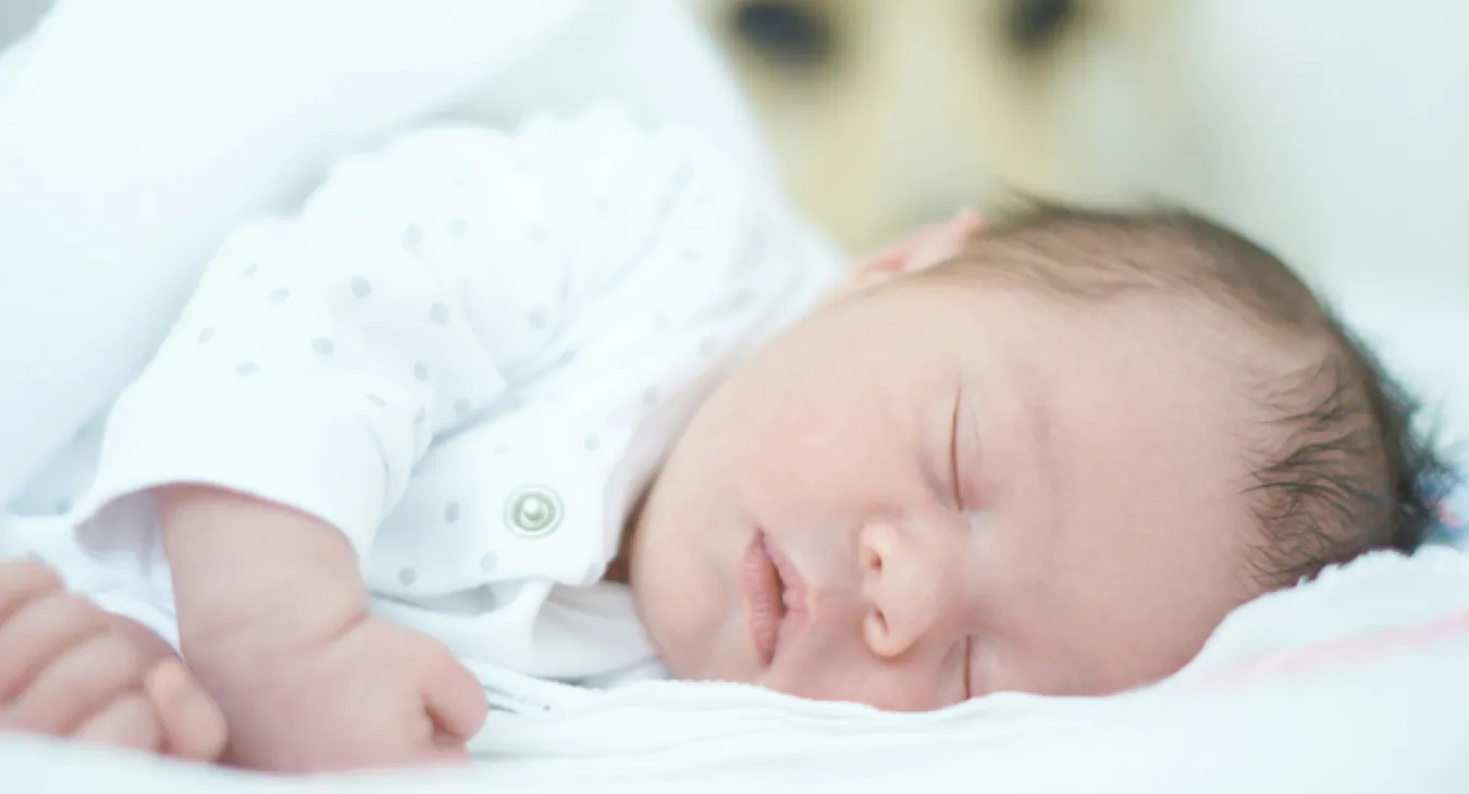 newborn baby with dog in background guarding 