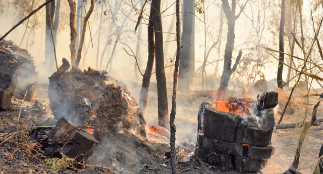 a bushfire burning