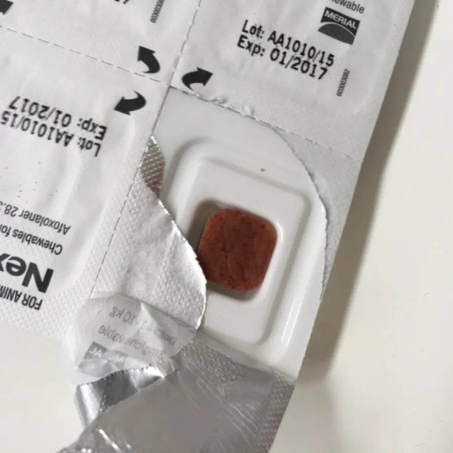 a nexgard chew sitting inside an opened packet