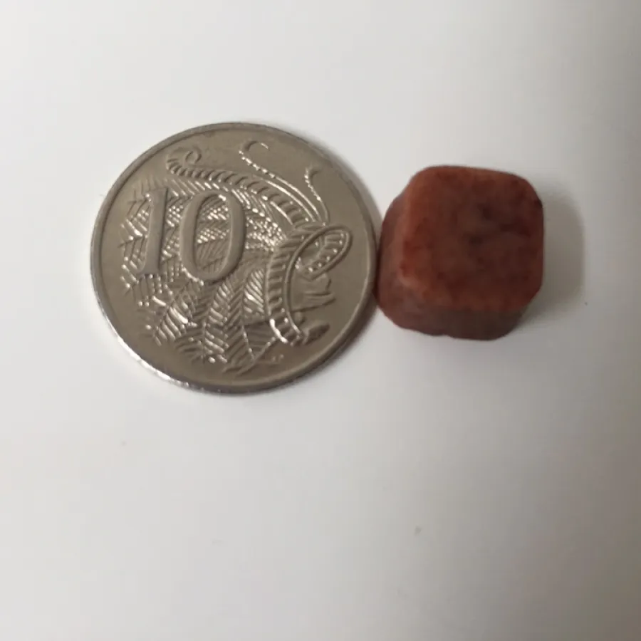 a nexgard chew next to a 10 cent piece